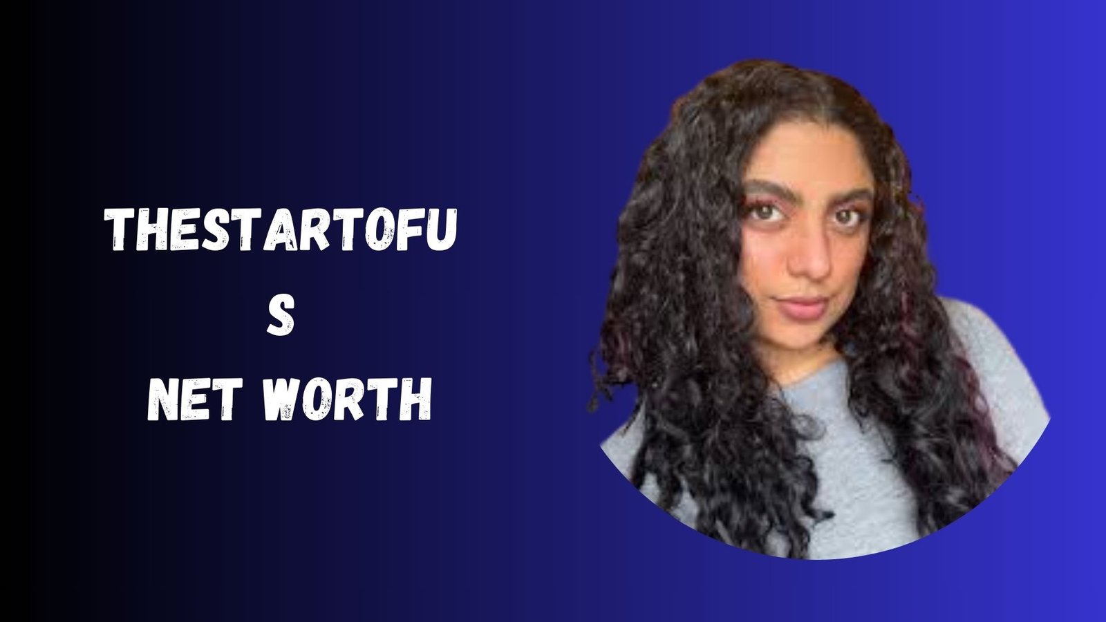 Thestartofus Net Worth